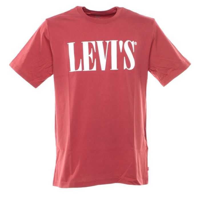 LEVIS RELAXED GRAPHIC TEE69978 0059